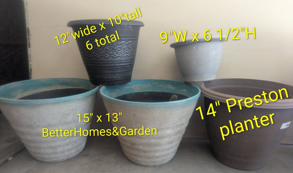 Main image 6