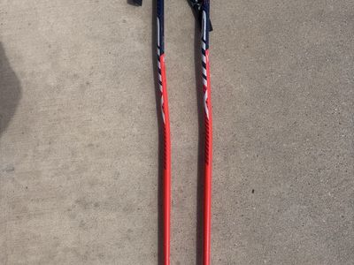 Swix GS Poles 95cm