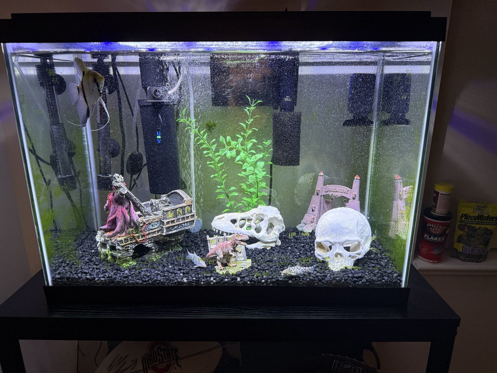 Aqueon 20 Gallon LED Fish Tank Aquarium Kit - Includes Filter, Heater, Decor & Fish