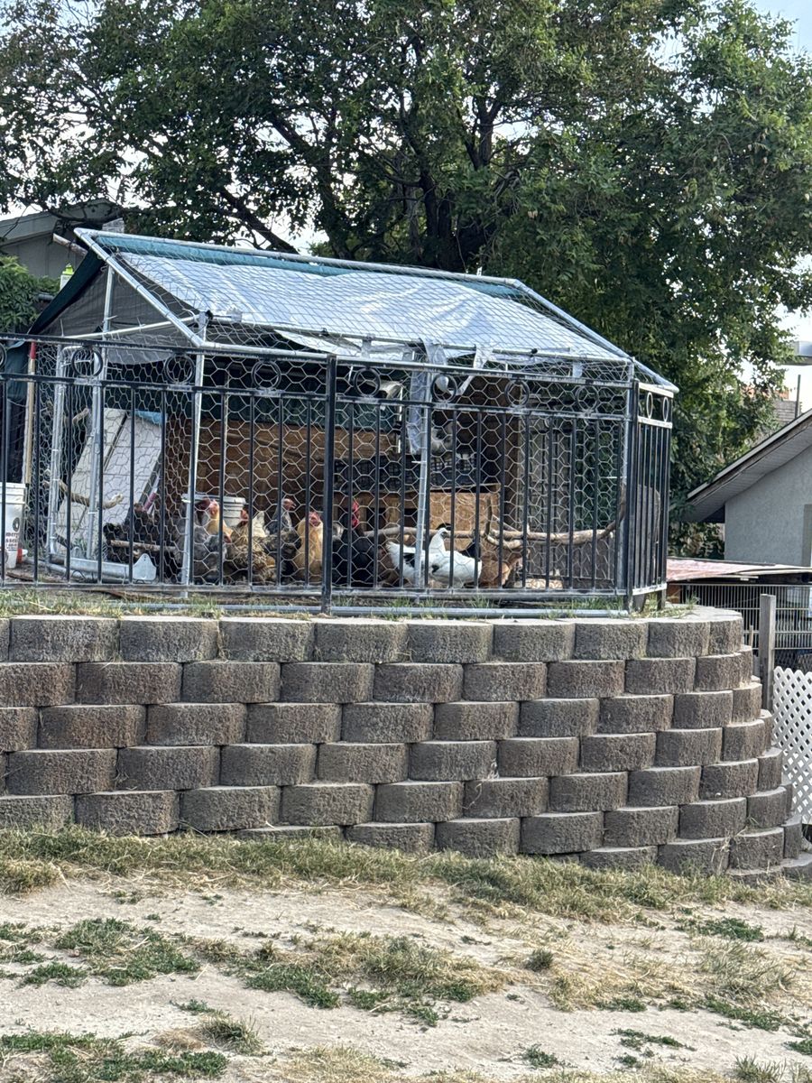 Main image 5
