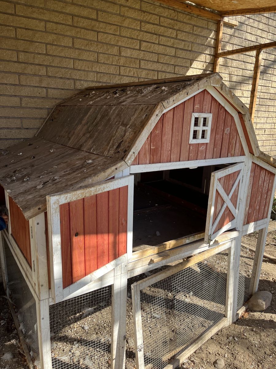 Chicken Coop For 6 Hens