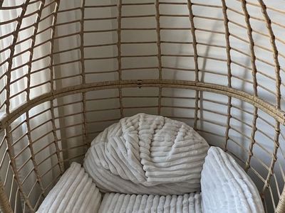 Wicker Egg Chair with Cushions