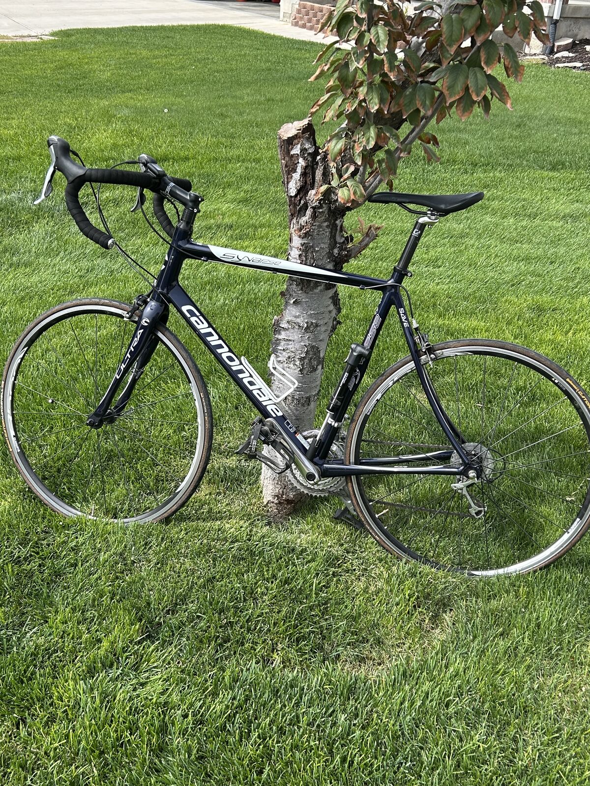 Cannondale synapse 27”
