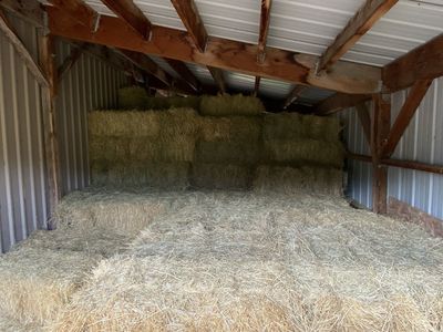 Grass Hay