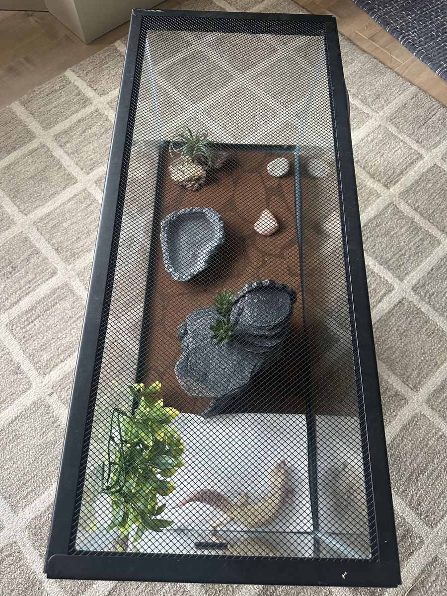 Main image 5