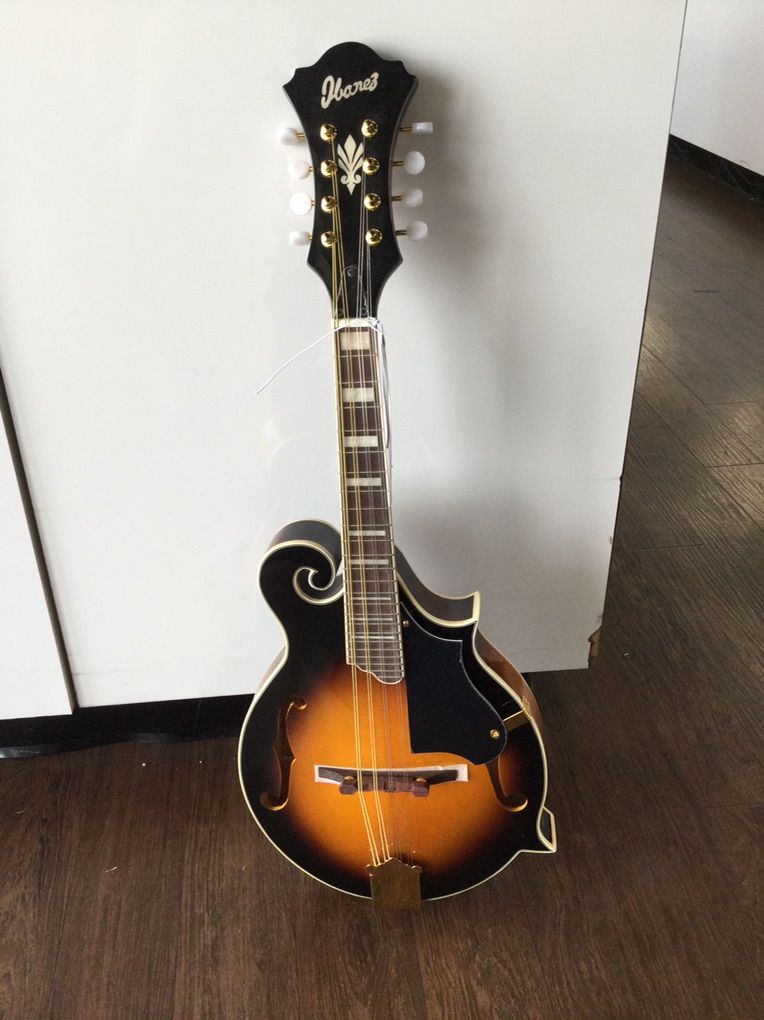 Ibanez Mandolin    #E75013412