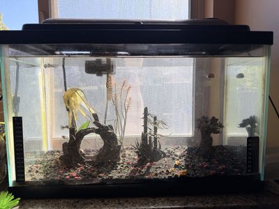 Used 10 gallon Fish Tank with Accessories - Gravel, Decor, Filter, Heater