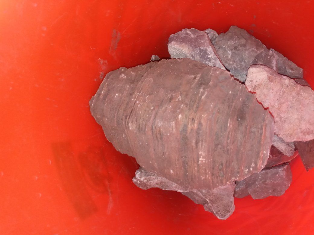Main image 2