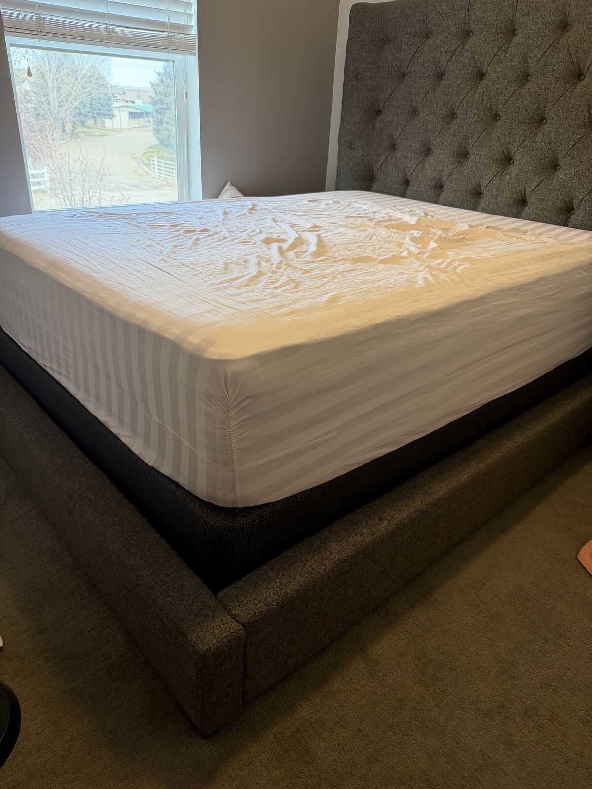 Queen Bed Upholstered