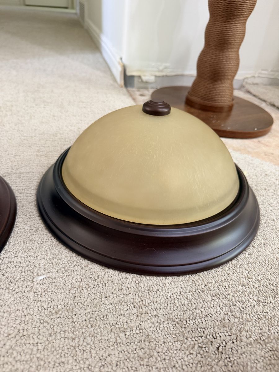 Flush Mount Ceiling Light Fixture Dome Frosted Glass Dark Bronze Finish