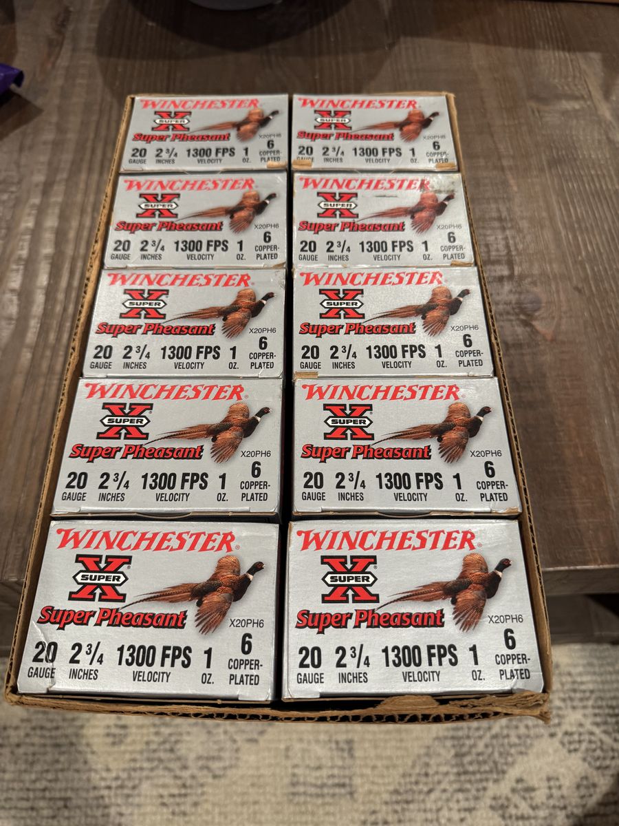 Case Of Winchester Super X Super Pheasant 20 Ga.