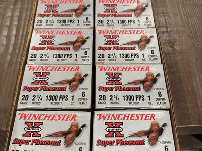 Case Of Winchester Super X Super Pheasant 20 Ga.