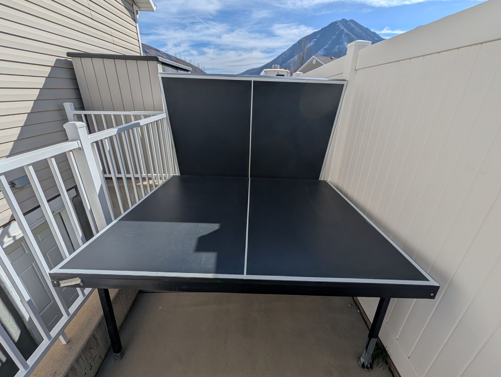 Table Tennis/Ping Pong Table