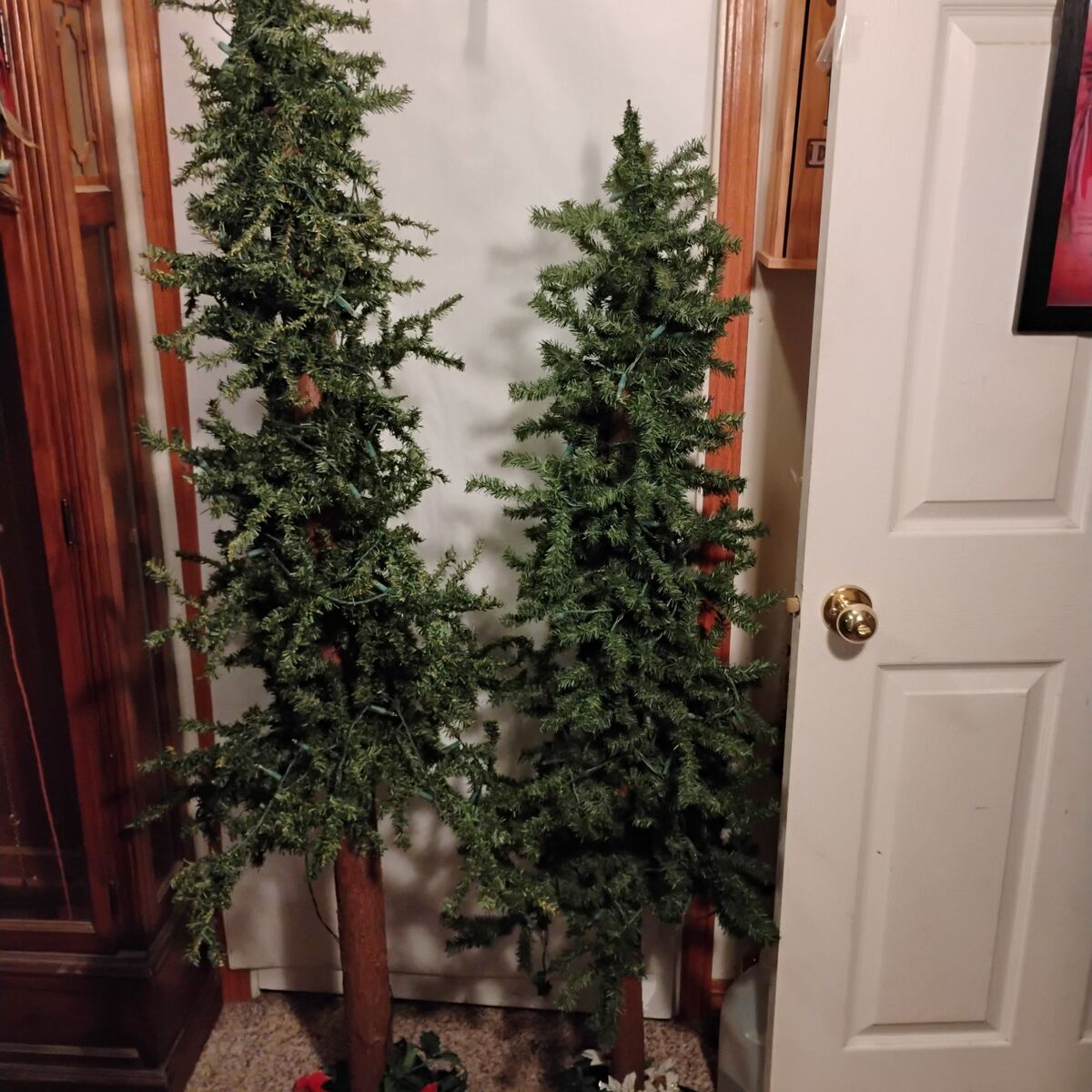 Alpine 5 And 6 Ft. Pine Accent Trees W/Lites