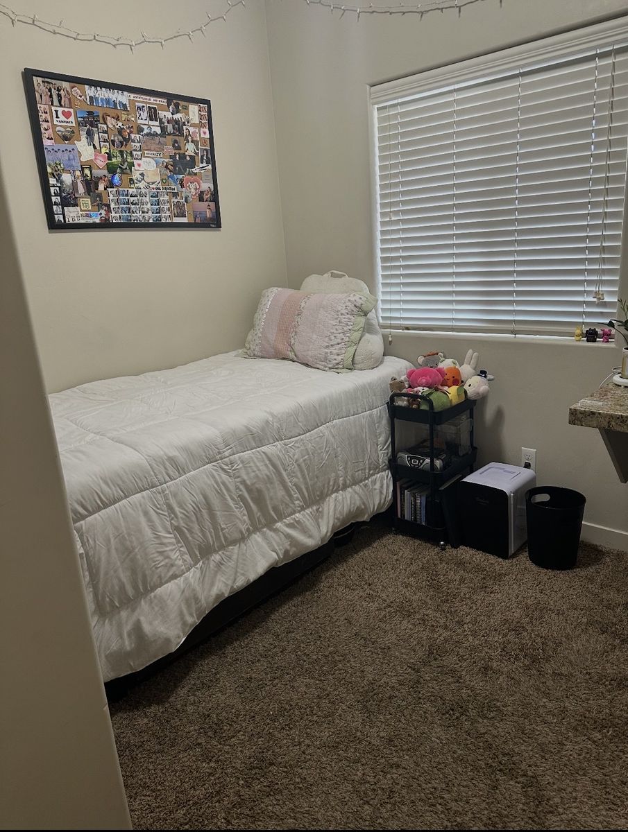 Private room available for the summer HALF PRICE!