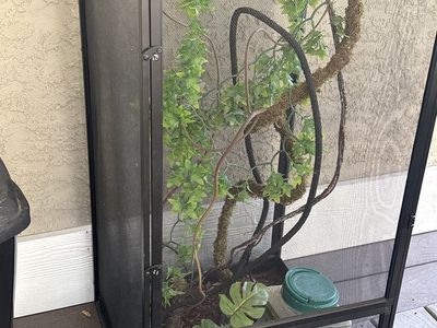 Terrarium - very clean hardly used.