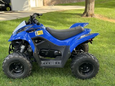 2021 Kawasaki KFX 50