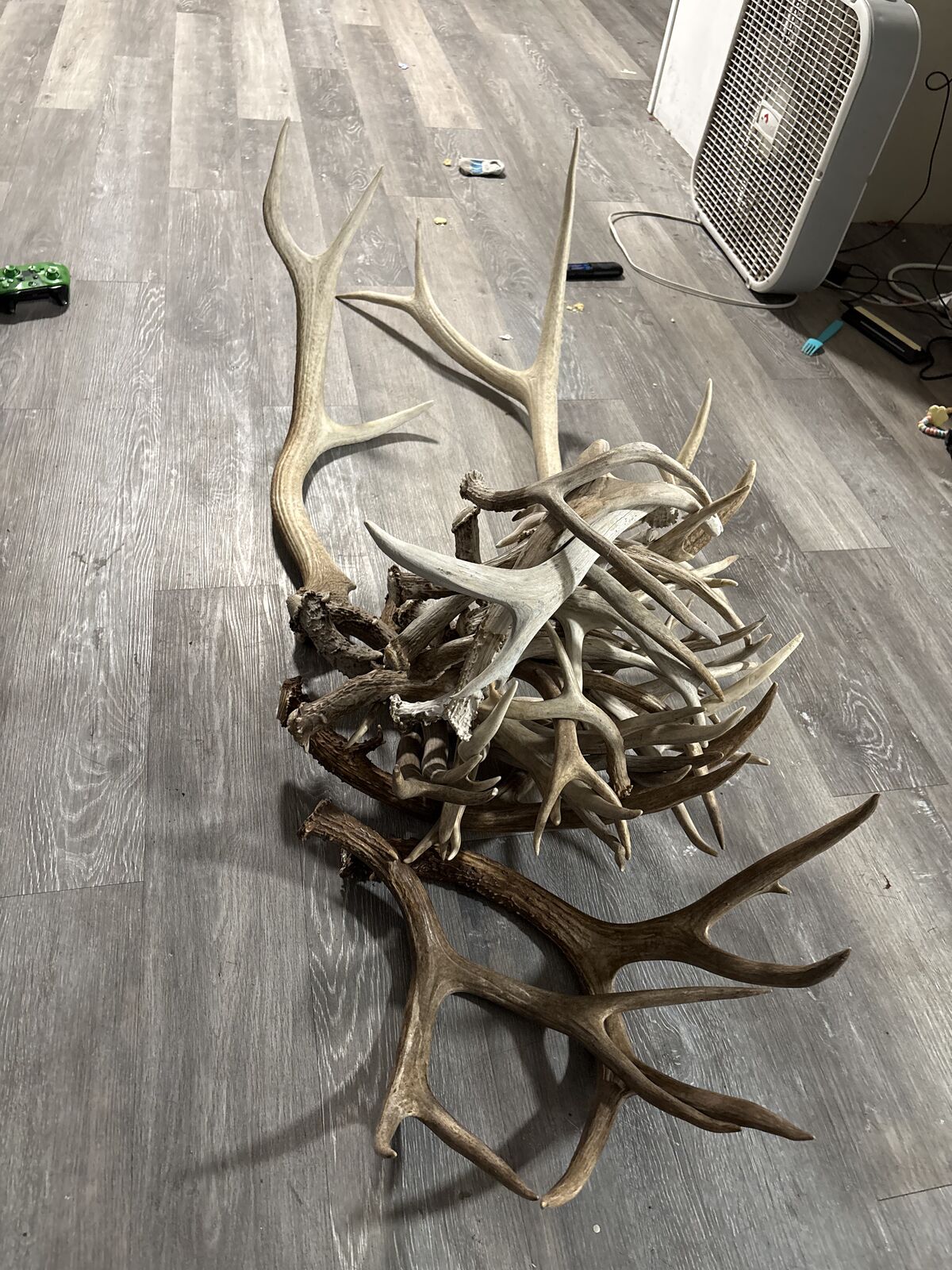 Deer And Elk Sheds