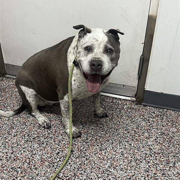 Hello my name is Sally