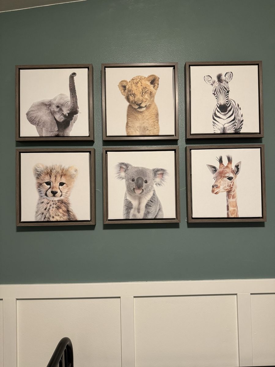 Set of 6 Safari Animal Framed Canvas Prints for Nursery Wall- 13x13