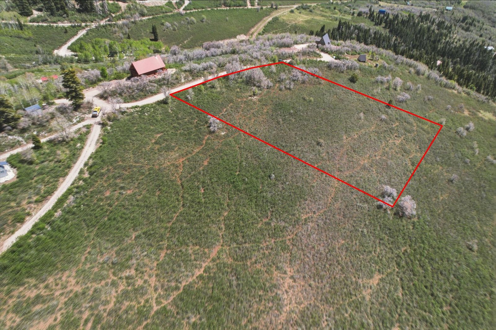 Main image 6