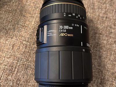 Sigma 70-300mm F4-5.6 Macro Canon Lens