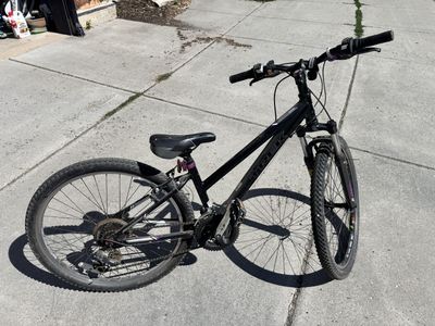 Trek Skye Mountain Bike - Black/Purple