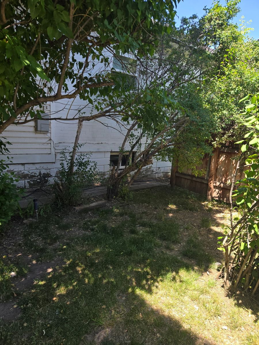 Main image 4