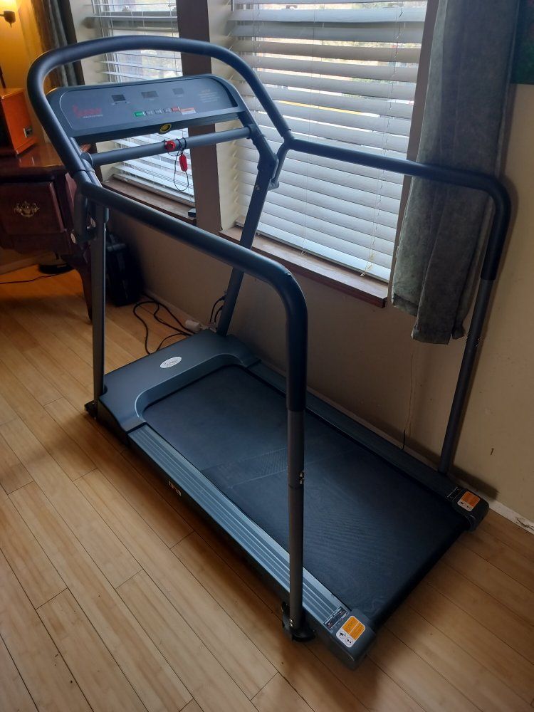 sunny health and fitness treadmill