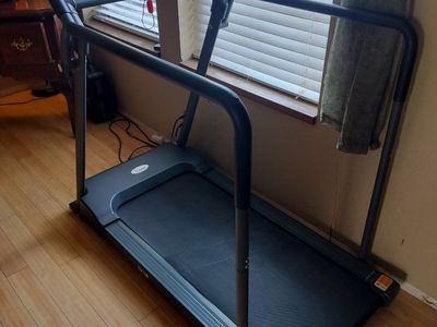 sunny health and fitness treadmill