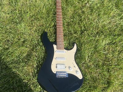Electric Guitar For Beginners