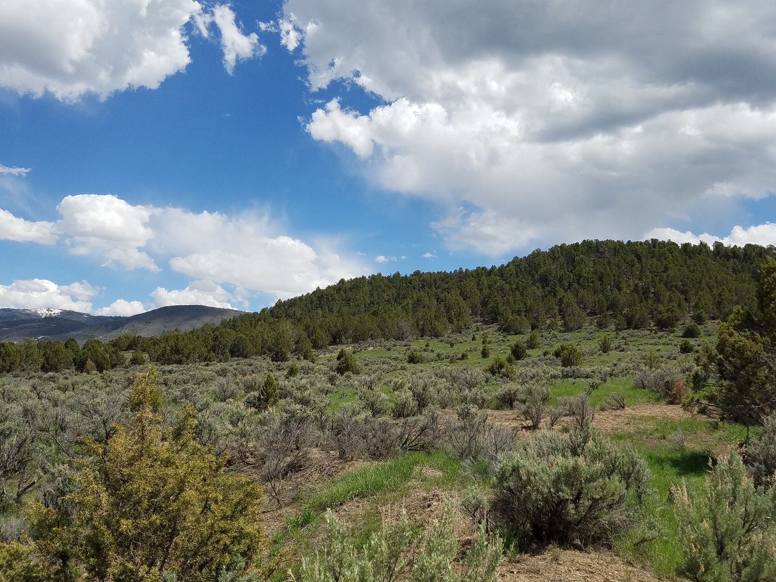 1 Acre just 25 minutes from the city. *Some phases feature paved roads.
