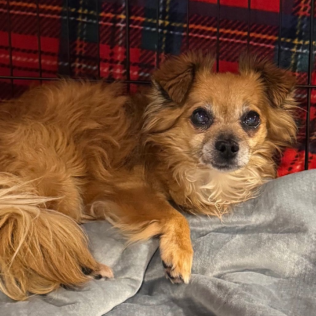 Hello my name is Melvin
