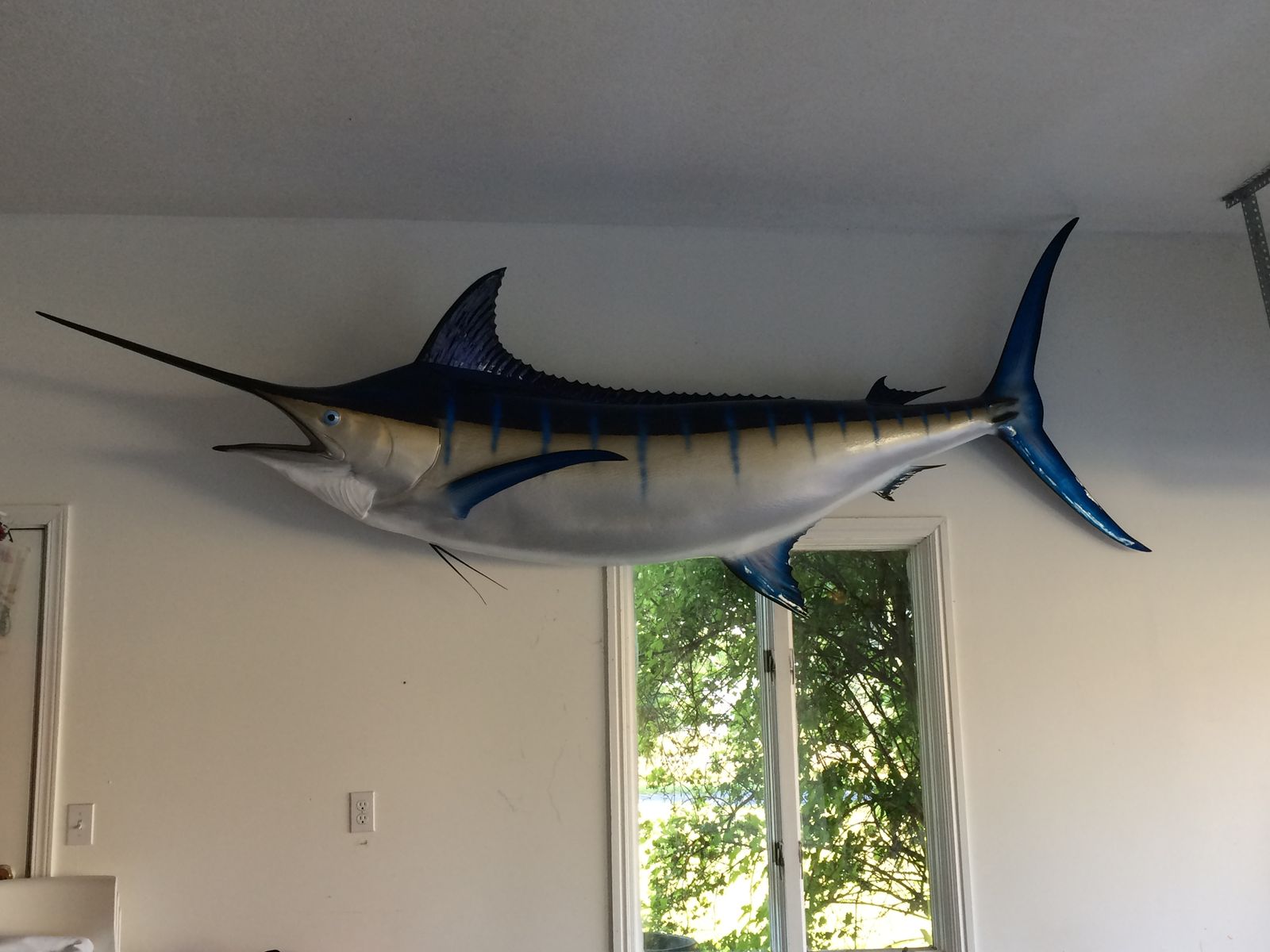FREE Marlin Fish Trophy 11”