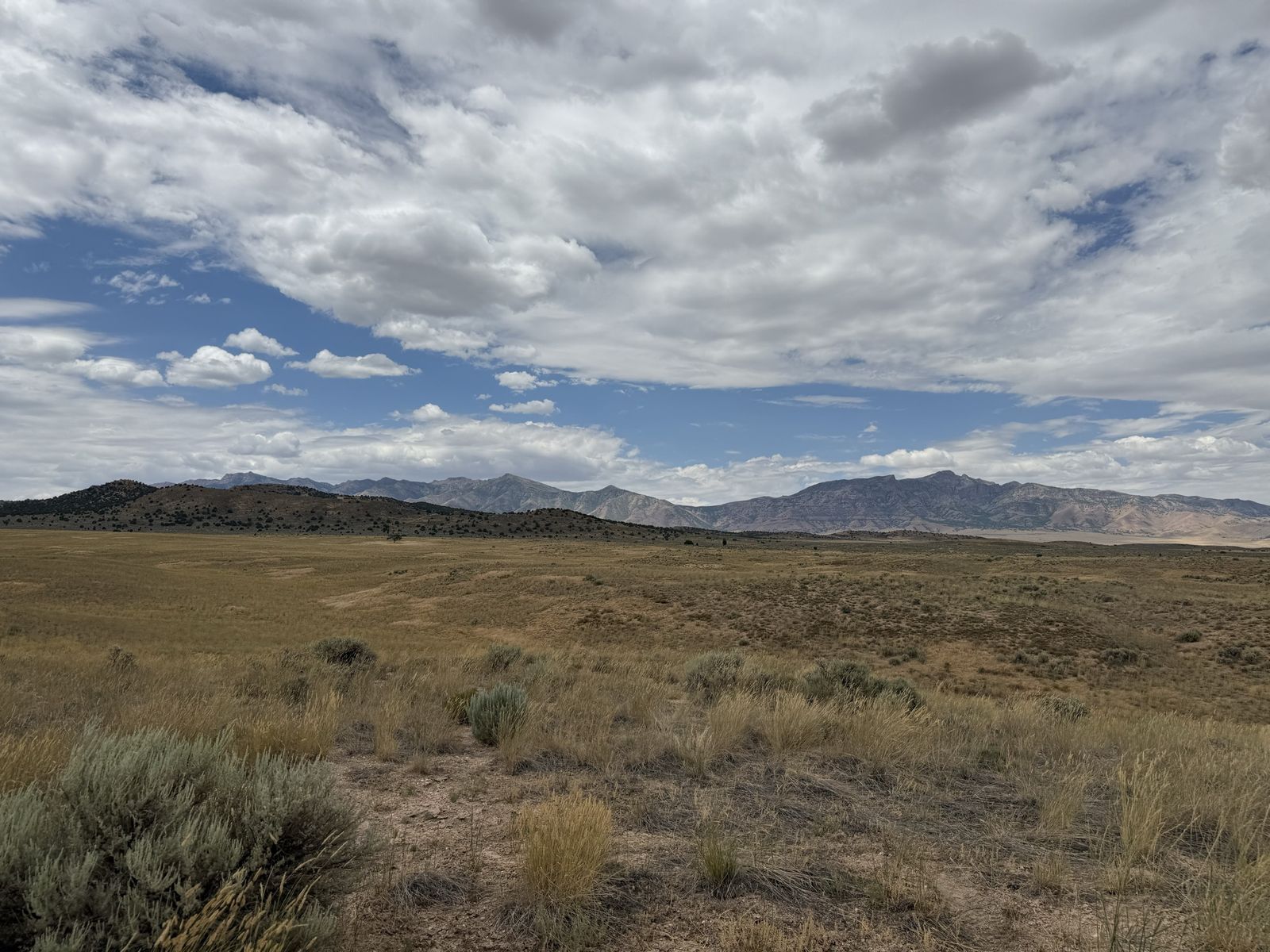 Beautiful 10 acres just south of Yuba Lake