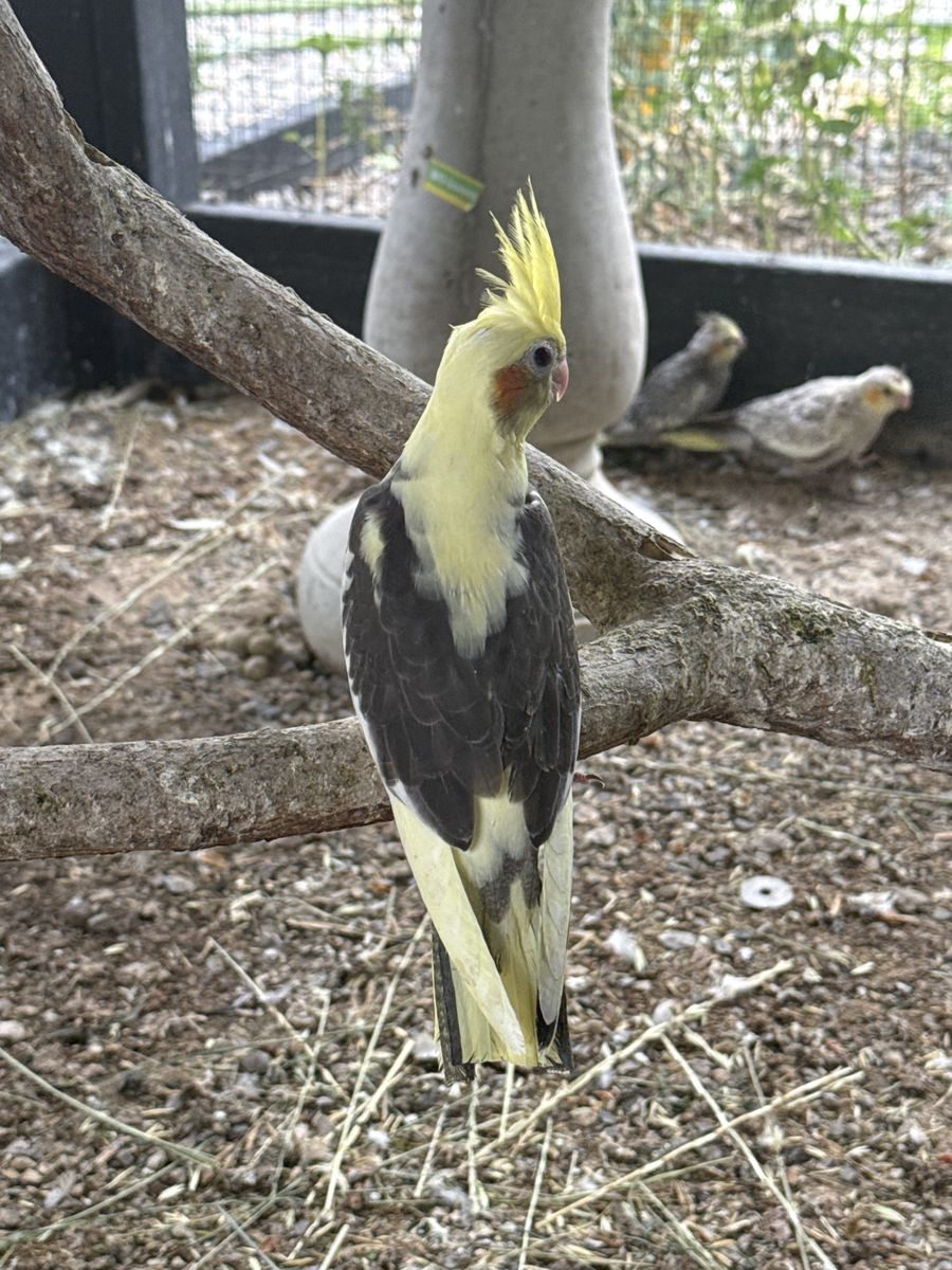 Main image 2