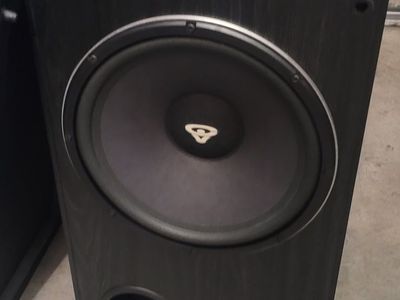 Cerwin Vega 12 in subwoofer
