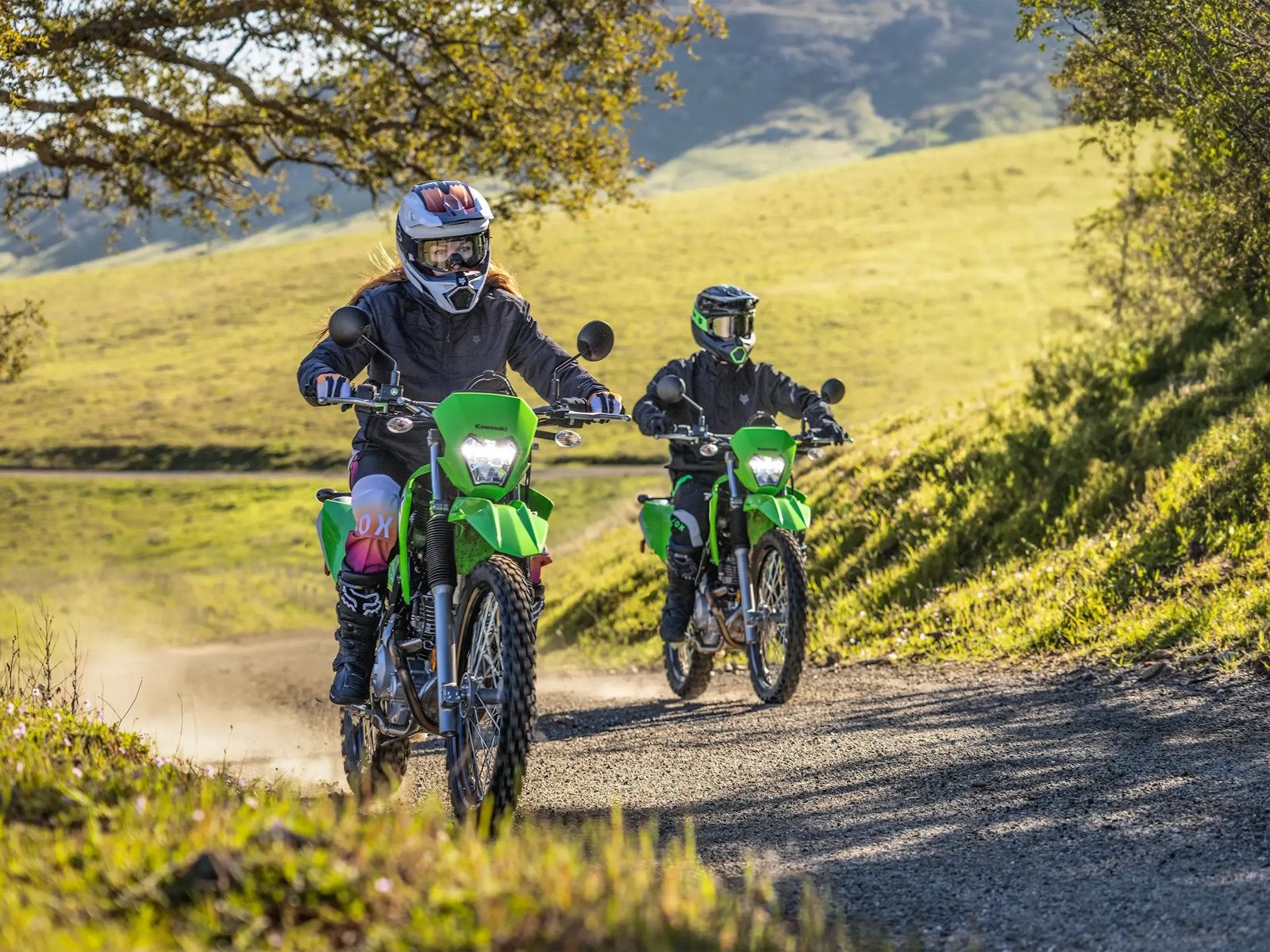 Main image 15