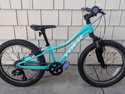 Trek Precaliber 20 in.