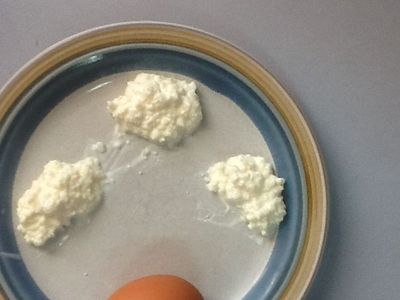 Milk Kefir grains