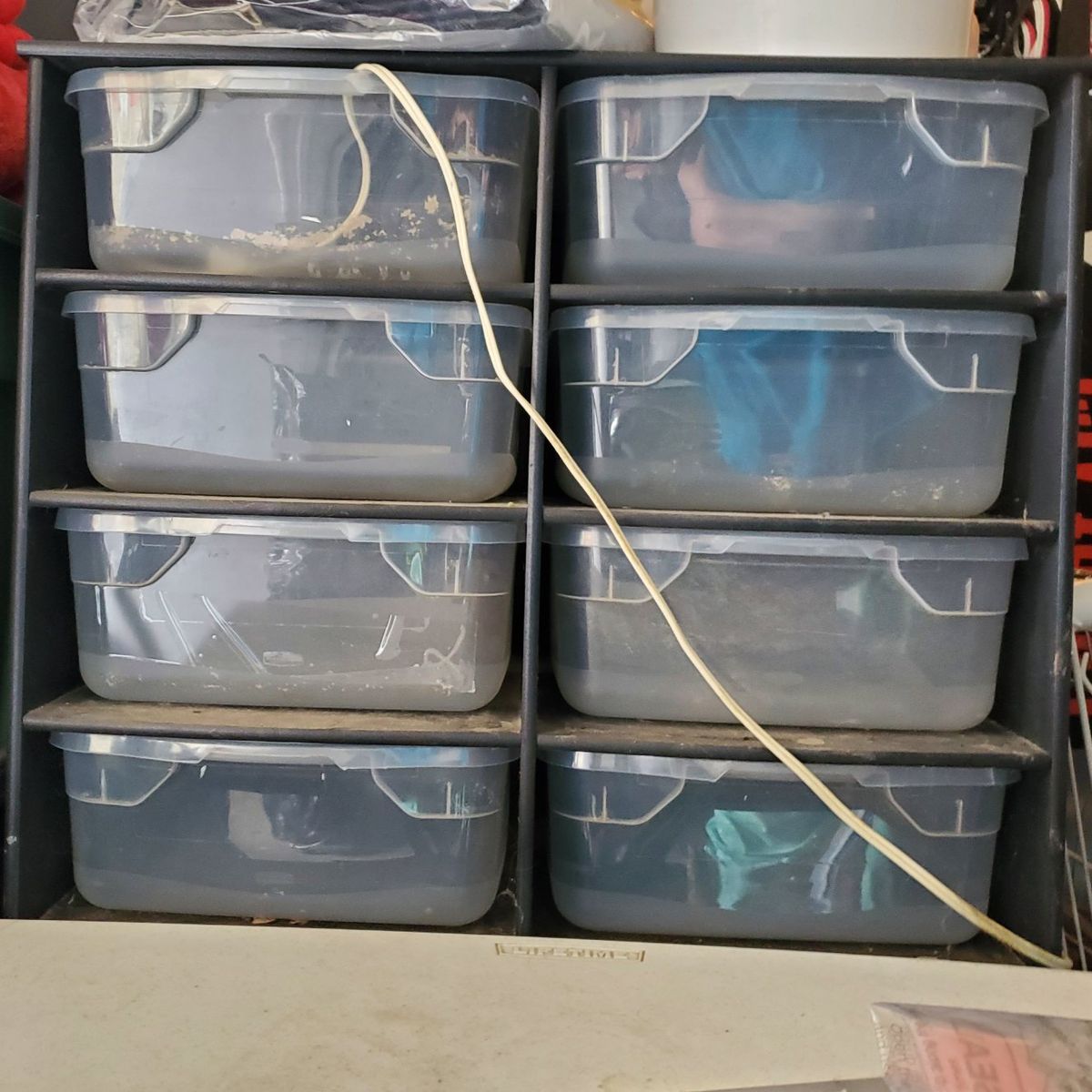 RhinoRaXX Boaphile Plastics 8 Sweater Snake Rack