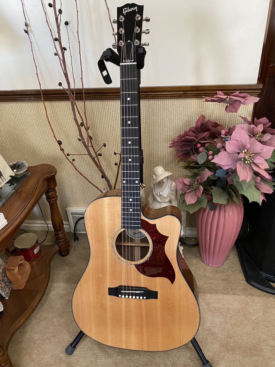 Gibsom Modern Hummingbird