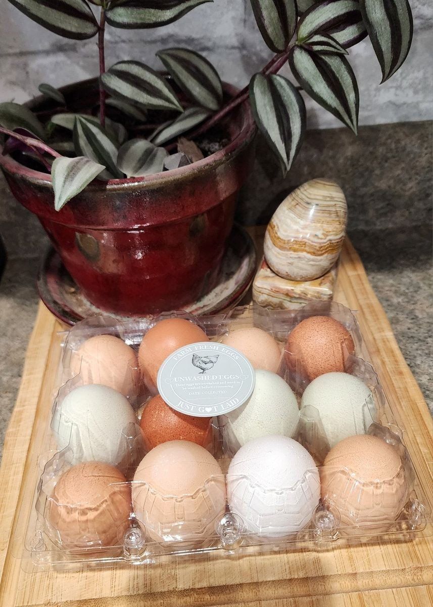 Eggs