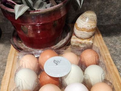 Eggs