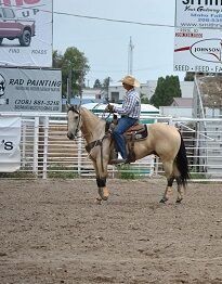 4yr AQHA Buckskin Gelding
