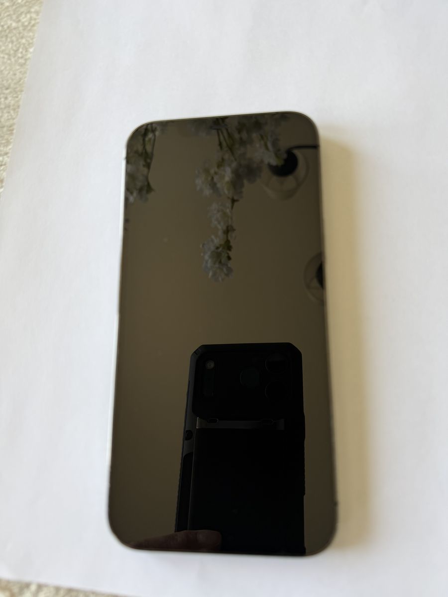 Apple iPhone 12 Pro Max