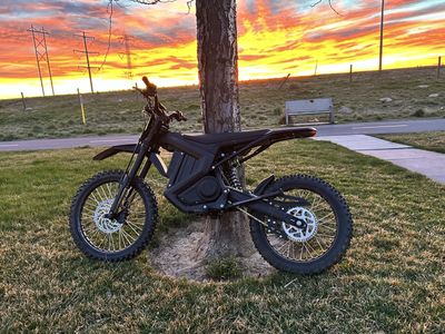 Rawrr MantisX Pro dirt bike with 4 months of use.