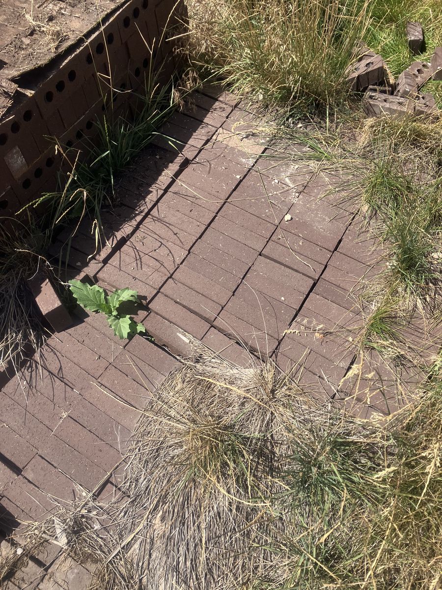Main image 5