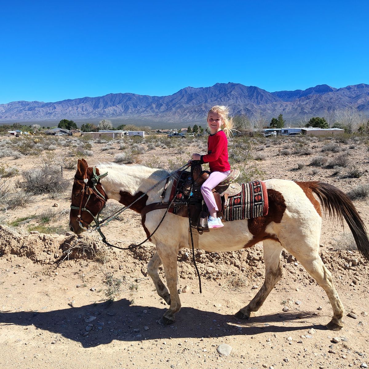 Kiddos horse. Trails 4H family safe
