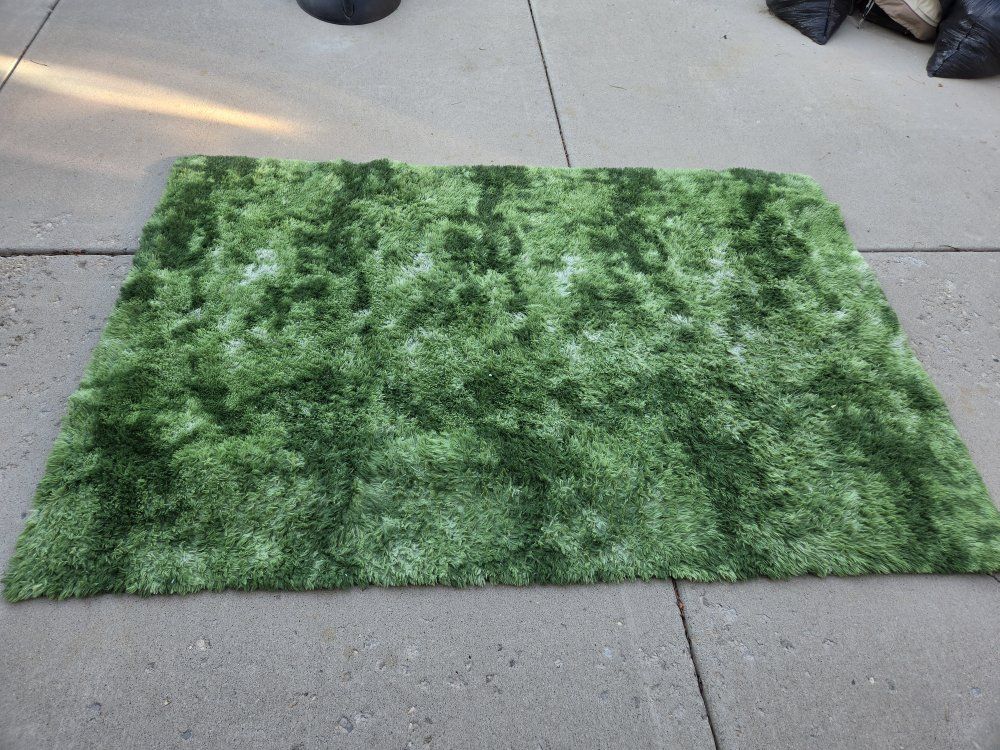 **PENDING** FREE 6x9 Fluffy Green Rug